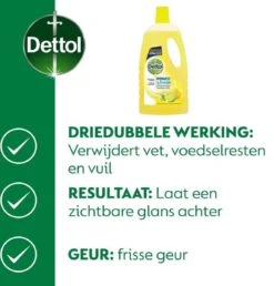 Dettol - Power & Fresh - Allesreiniger - Citrus - 8 X 1 Liter 13 Dettol - Power & Fresh - Allesreiniger - Citrus - 8 X 1 Liter -Sparkle home Winkel 1149x1200 3