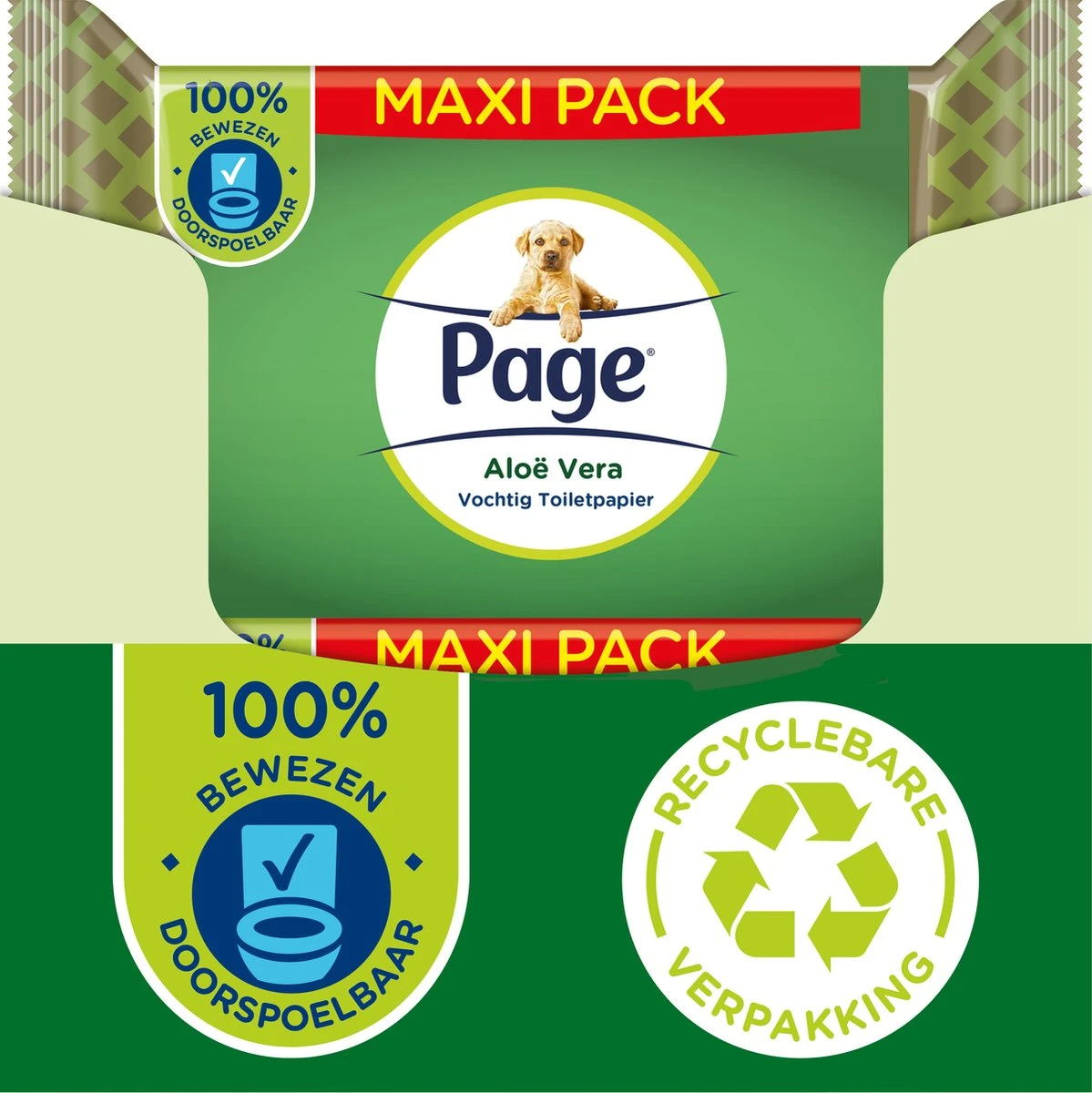 Page Vochtig Toiletpapier - 6 X 74 Stuks - Aloë Vera Maxi Vochtig Wc Papier - Voordeelverpakking 3 Page Vochtig Toiletpapier - 6 X 74 Stuks - Aloë Vera Maxi Vochtig Wc Papier - Voordeelverpakking