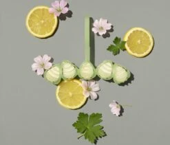 Marcel's Green Soap Toiletblok Geranium & Citroen - 55 Gram -Sparkle home Winkel 1200x1023