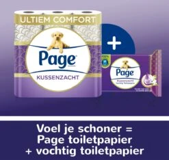 Page Vochtig Toiletpapier - 12 X 38 Stuks - Kussenzacht Vochtig Wc Papier - Voordeelverpakking -Sparkle home Winkel 1200x1138