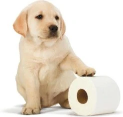 Scottex Toiletpapier - Kussenzacht Design Wc Papier - 84 Rollen -Sparkle home Winkel 1200x1142 3