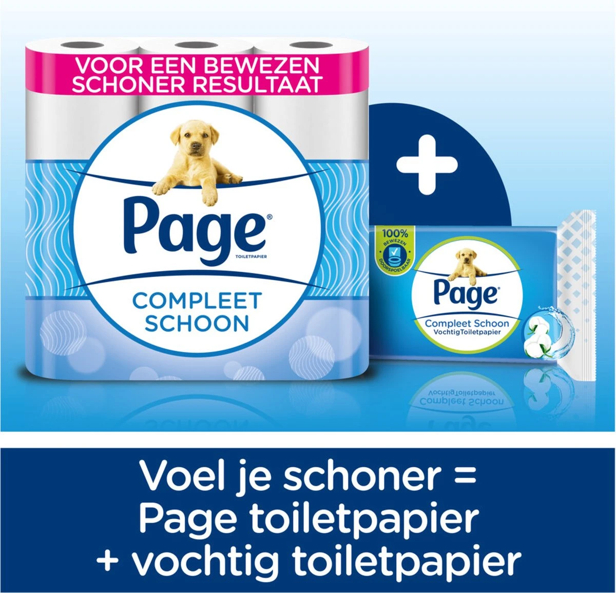 Page Vochtig Toiletpapier - 6 X 74 Stuks - Compleet Schoon Maxi Vochtig Wc Papier - Voordeelverpakking 11 Page Vochtig Toiletpapier - 6 X 74 Stuks - Compleet Schoon Maxi Vochtig Wc Papier - Voordeelverpakking - Afbeelding 9