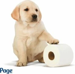 Page Toiletpapier - Eco - Duurzaam - 24 Rollen - Voordeelverpakking -Sparkle home Winkel 1200x1186 6