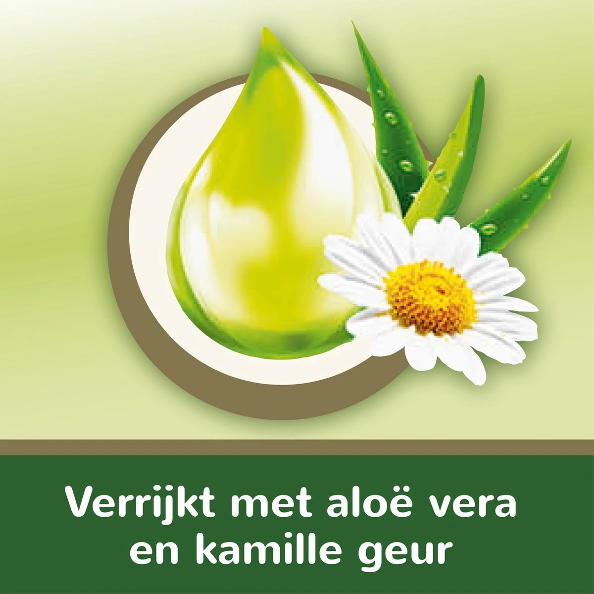 Page Vochtig Toiletpapier - 6 X 74 Stuks - Aloë Vera Maxi Vochtig Wc Papier - Voordeelverpakking 12 Page Vochtig Toiletpapier - 6 X 74 Stuks - Aloë Vera Maxi Vochtig Wc Papier - Voordeelverpakking - Afbeelding 10