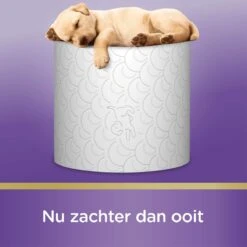 Page Toiletpapier - 36 Rollen - Kussenzacht Wc Papier (3-laags) - Voordeelverpakking 13 Page Toiletpapier - 36 Rollen - Kussenzacht Wc Papier (3-laags) - Voordeelverpakking -Sparkle home Winkel 1200x1200 1345