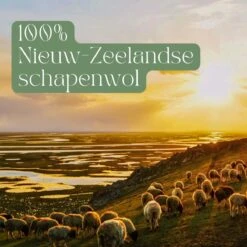 Miki's Goods® XL Wollen Drogerballen 6 Stuks - Panda Wasballen - Duurzaam - Wasbol - 100% Nieuw-Zeelandse Schapenwol - Wasbollen - Herbruikbaar- Droogballen - Snellere Droogtijd - Zuigt Dierenharen Op -Sparkle home Winkel 1200x1200 16