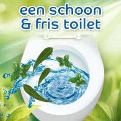 Witte Reus Pro Nature Munt Eucalyptus - 10 Stuks -Sparkle home Winkel 1200x1200 1937