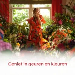 Robijn Color & Passiebloem Wasmiddel En Wasverzachter Pakket - 5 Stuks - Voordeelpakket -Sparkle home Winkel 1200x1200 250