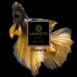 Lavayette Premium Wasparfum 2in1 - Double Fun & Jasmine Shades - Geurbooster -Sparkle home Winkel 1200x1200 431
