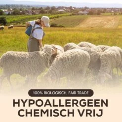 Drogerballen - Droogballen - Wasdrogerballen - Dryerballs - 6 Stuks - XL Formaat - Wol - Set 12 Drogerballen - Droogballen - Wasdrogerballen - Dryerballs - 6 Stuks - XL Formaat - Wol - Set -Sparkle home Winkel 1200x1200 602