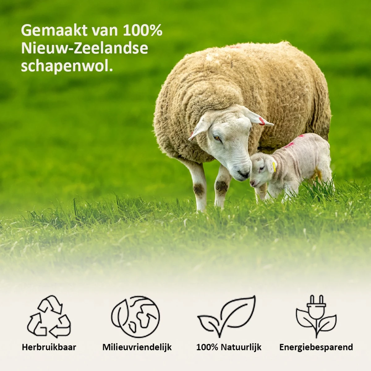 Droger Ballen Wol - Wasdroger Herbruikbare Wollen Droger Ballen - Droogballen Voor Snellere Droogtijd- Set 6 Stuks - Swilix 4 Droger Ballen Wol - Wasdroger Herbruikbare Wollen Droger Ballen - Droogballen Voor Snellere Droogtijd- Set 6 Stuks - Swilix - Afbeelding 2