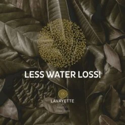 Lavayette XL Drogerballen Met 25ml Wasparfum - WasdrogerBallen – Droogballen – Wasbol – 100% Nieuw-Zeelands Schapenwol – Milieu- En Diervriendelijk – 6 Stuks -Sparkle home Winkel 1200x1200 663