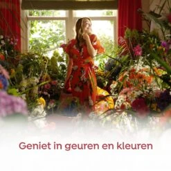 Robijn Klein & Krachtig Zwitsal Vloeibaar Wasmiddel - 2 X 34 Wasbeurten - Voordeelverpakking -Sparkle home Winkel 1200x1200 76