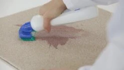 Dr. Beckmann Tapijtvlekkenborstel - Tapijtreiniging - Tapijt Vlekverwijderaar Met Borstel - Schoon Tapijt - Dierenvlekkenverwijderaar -Sparkle home Winkel 1200x674