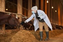 ANSELL MICROFLEX® 93-732 - Nitril Wegwerp Handschoenen, Latexvrij, Poedervrij, S, Zwart, 100 Stuks (0.7-0.11mm) -Sparkle home Winkel 1200x799 39