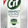 Cif Disinfect & Shine Wipes Doden 99,99% Van De Bacteriën Original Desinfecterende Schoonmaakdoekjes, Van 100% Biologisch Afbreekbaar Textiel 5 X 75 Doekjes